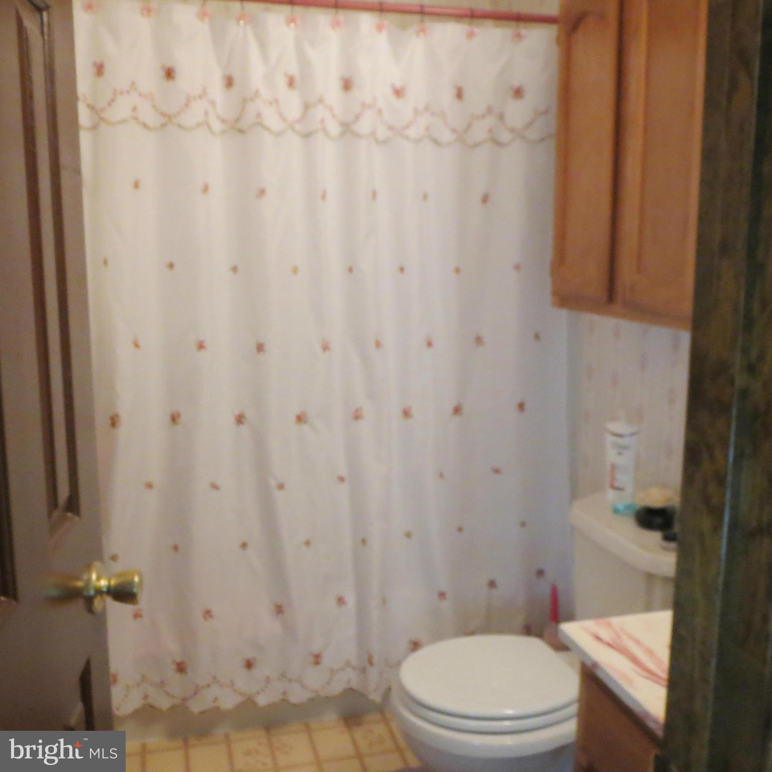 677 Marple Road Winchester, VA 22603 - Photo 8 of 30 Bath (Master)
