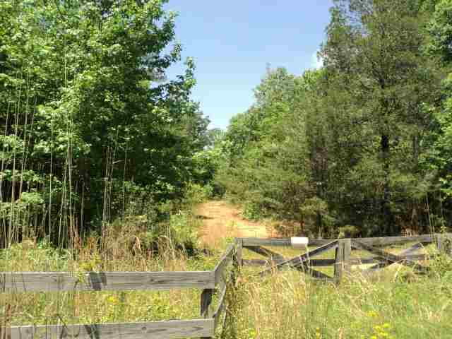 0 Saw Mill Road Laurens, SC 29360 - Photo 4 of 6 Gallery Image 4
