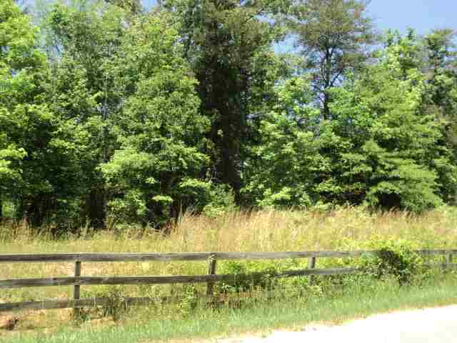 0 Saw Mill Road Laurens, SC 29360 - Photo 5 of 6 Gallery Image 5