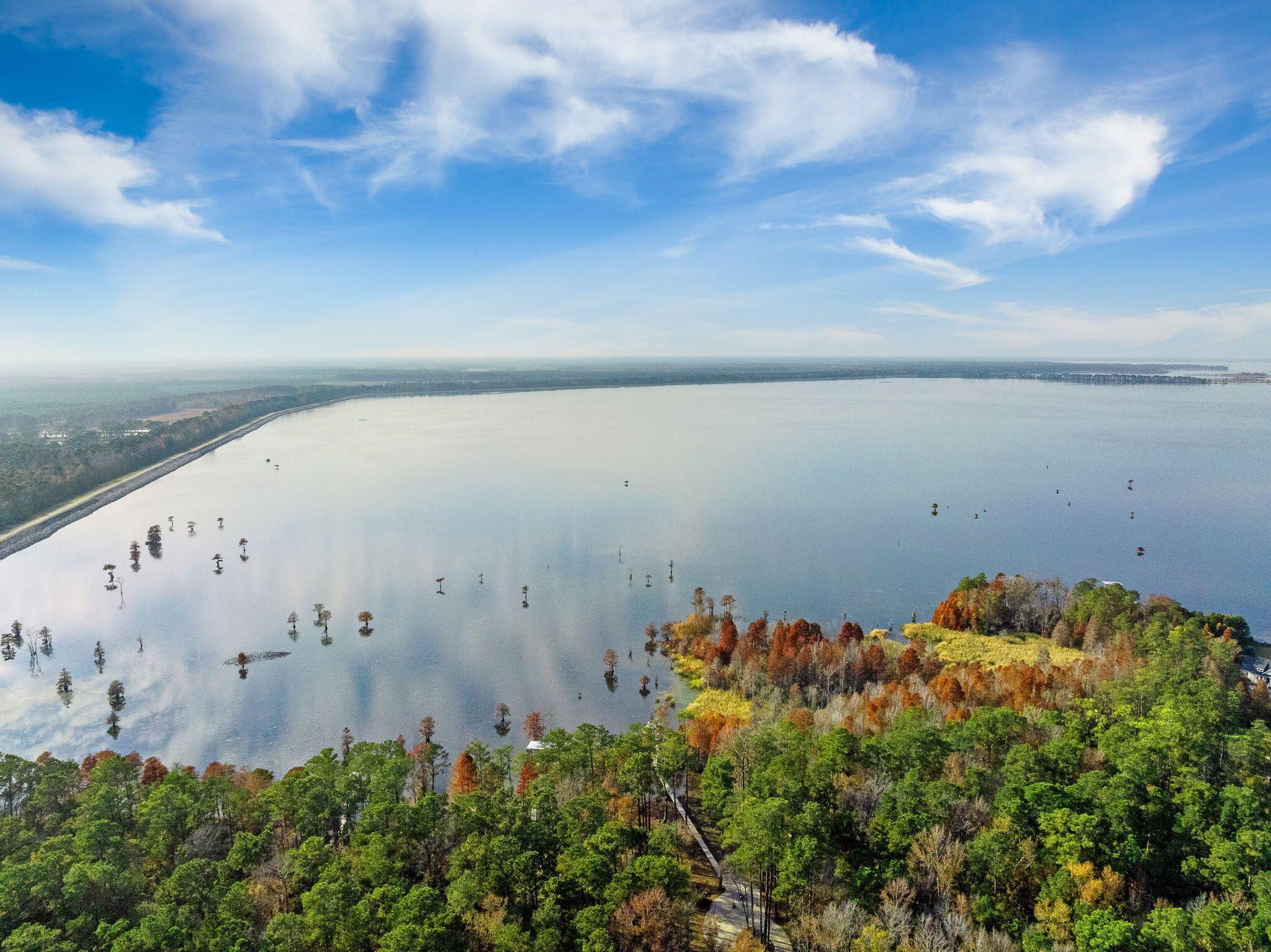 201 Summer Breeze Way Moncks Corner, SC 29461 - Photo 10 of 21 10-web-or-mls-Barclay Media Co -11