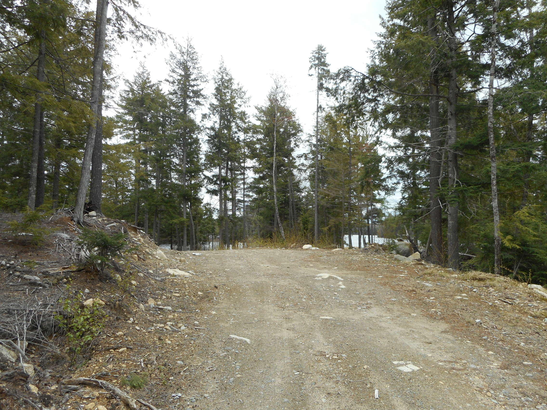 Tbd Lot 12 Tbd Road Lincoln, ME 04457 - Photo 16 of 17 DSCN2018