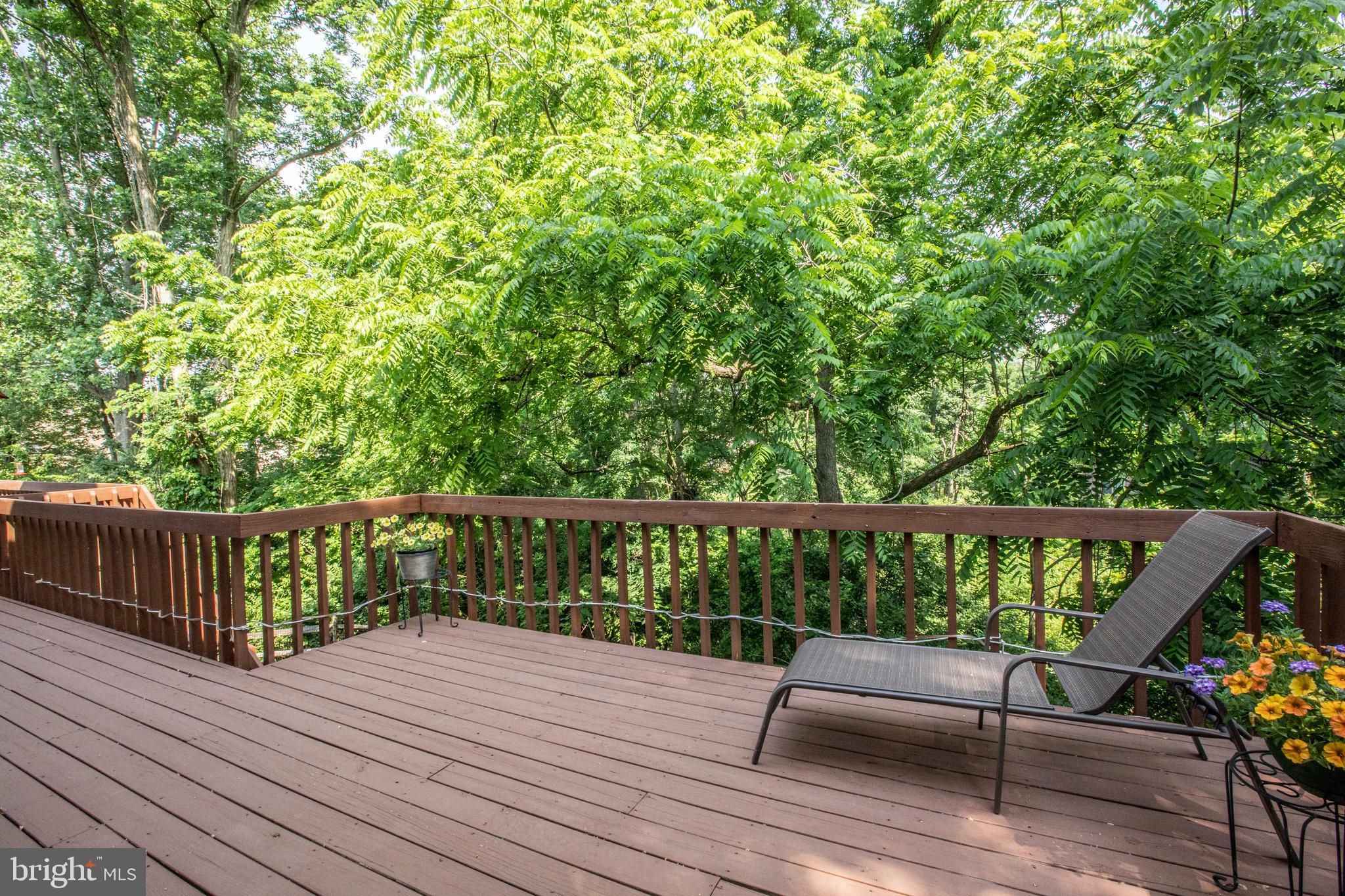 6 Sandy Way Reading, PA 19607 - Photo 65 of 76 Deck from Owner's suite side of the home