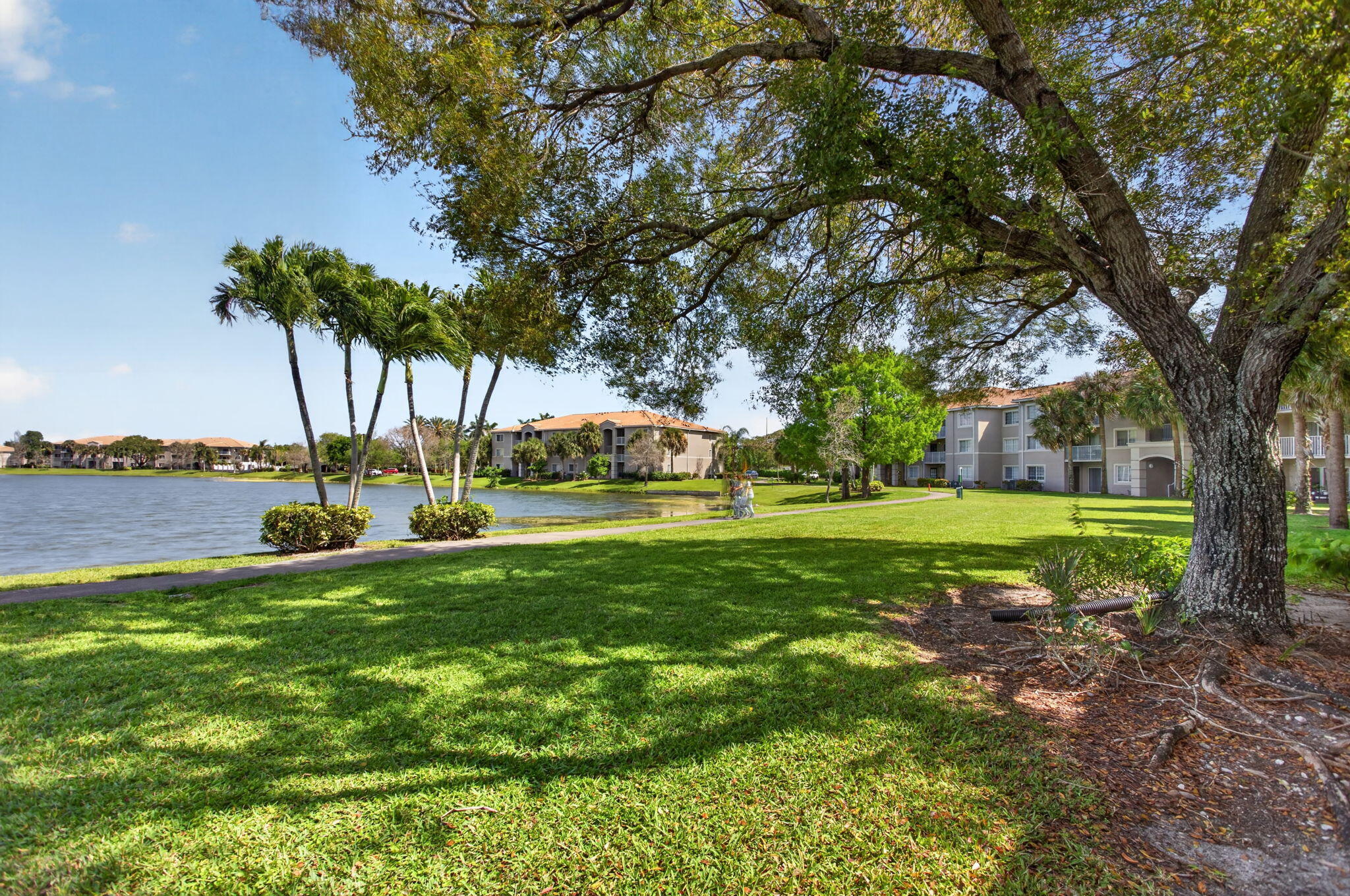 5011 Wiles Road, Unit 104 Coconut Creek, FL 33073 - Photo 7 of 43 a view of a swimming pool and trees in the background