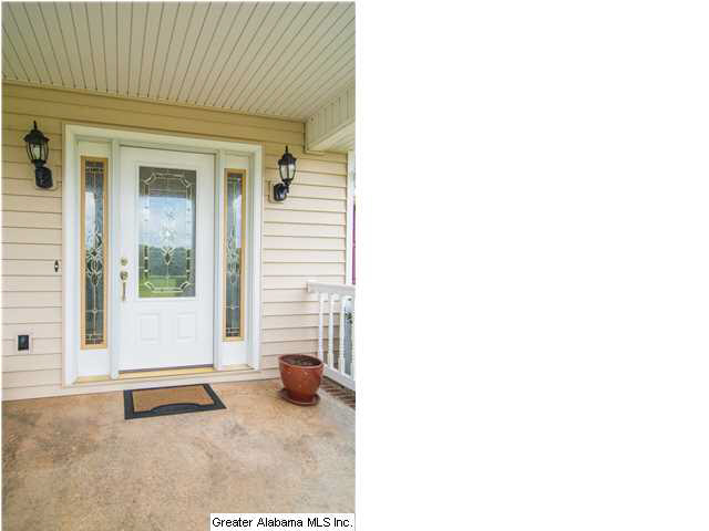 2570 Blue Springs Road Wilsonville, AL 35186 - Photo 2 of 32