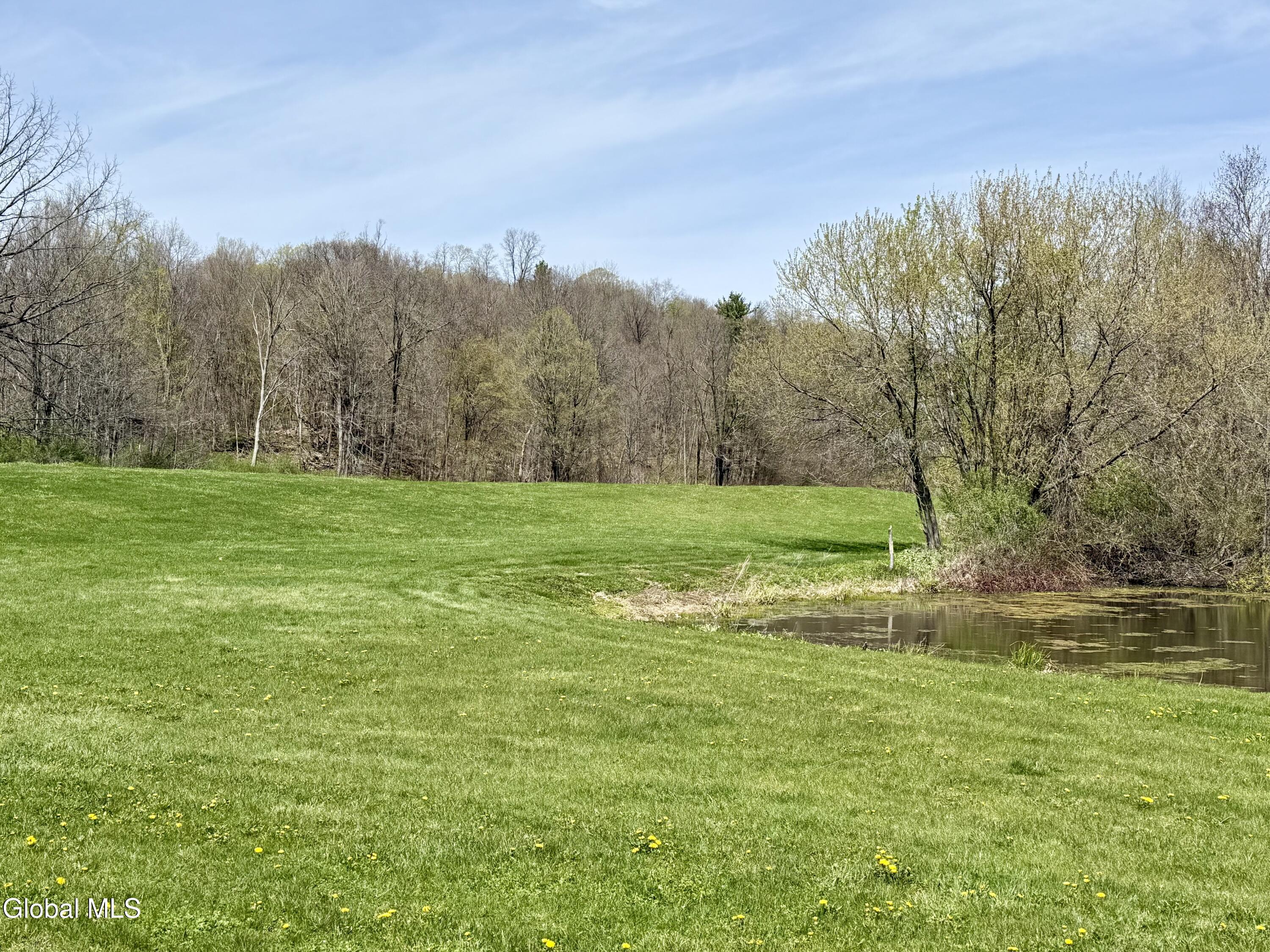 1378 County Rte 49 Argyle, NY 12809 - Photo 48 of 58 IMG_6684