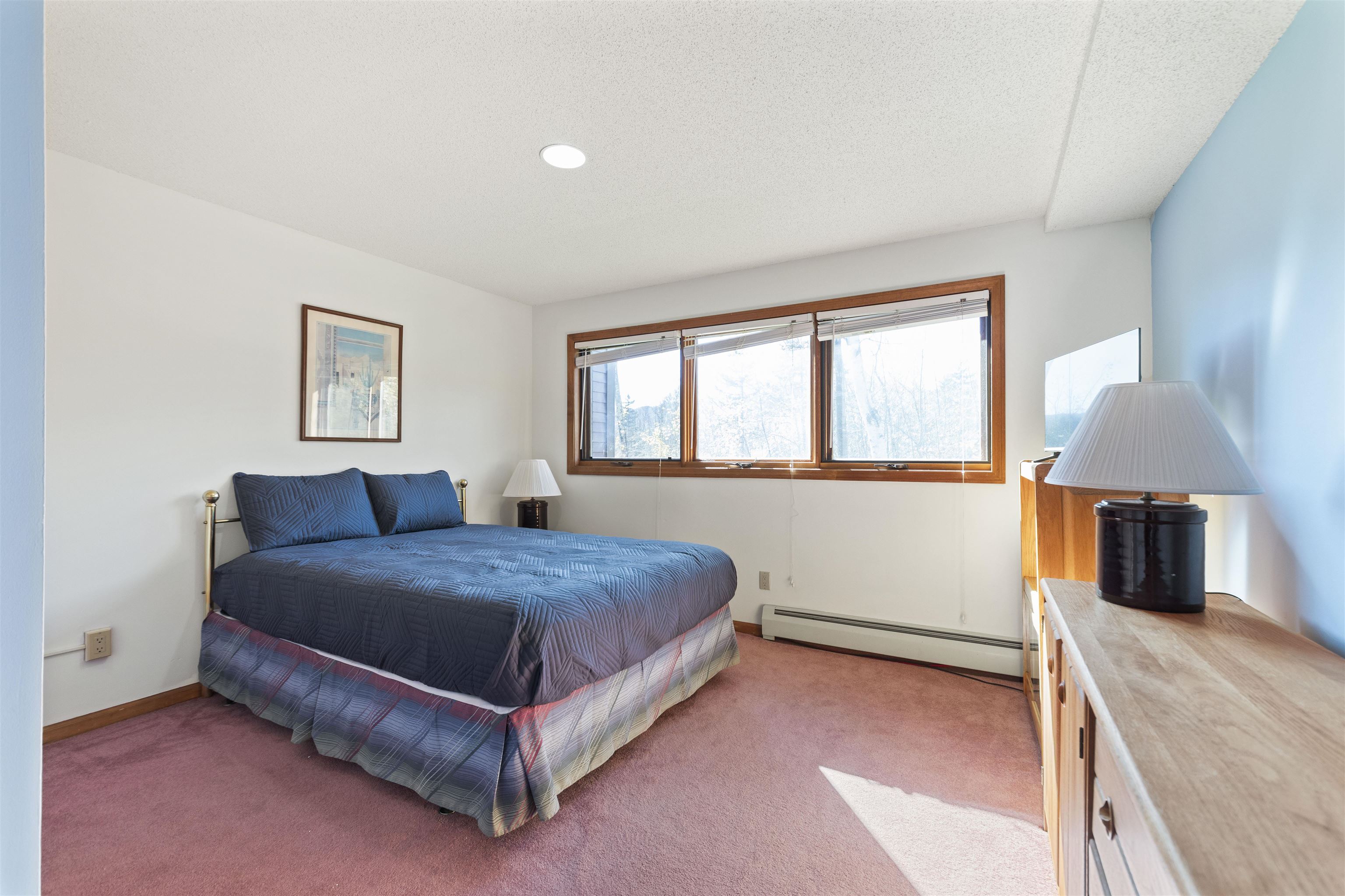 106 Silver Birch, Unit 17H West Dover, VT 05356 - Photo 14 of 26
