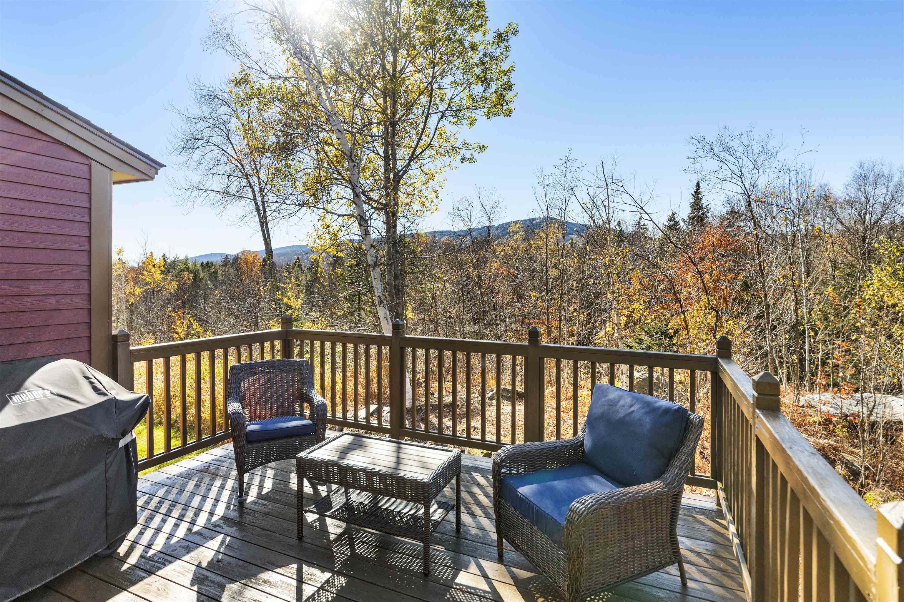 106 Silver Birch, Unit 17H West Dover, VT 05356 - Photo 21 of 26