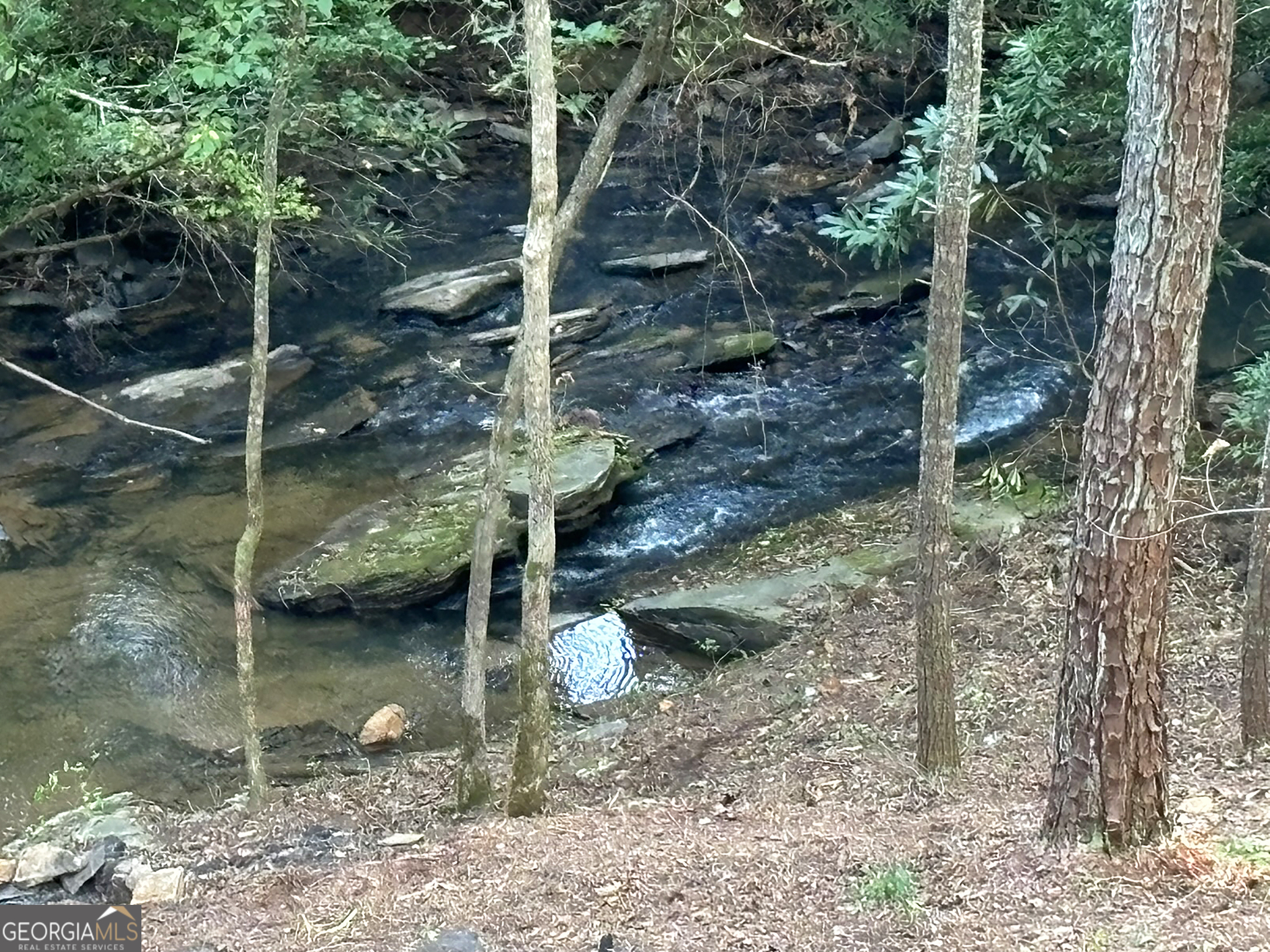 396 Mt Springer Road Ellijay, GA 30540 - Photo 37 of 50