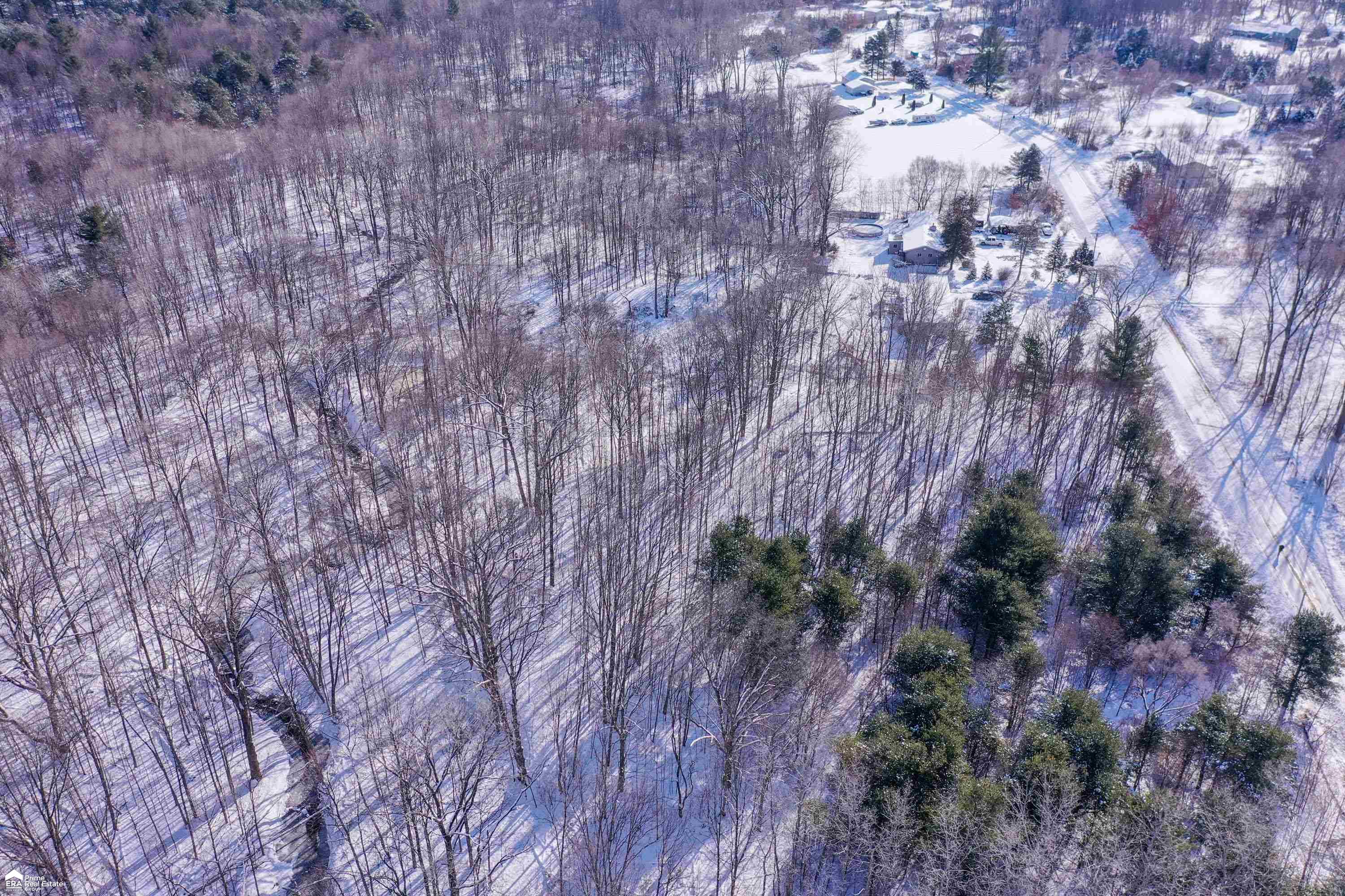 V/l River Grove Road Flushing, MI 48433 - Photo 9 of 10