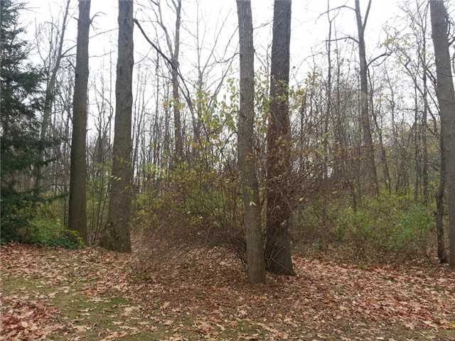 4424 Canal Road Ogden, NY 14559 - Photo 1 of 1 Land