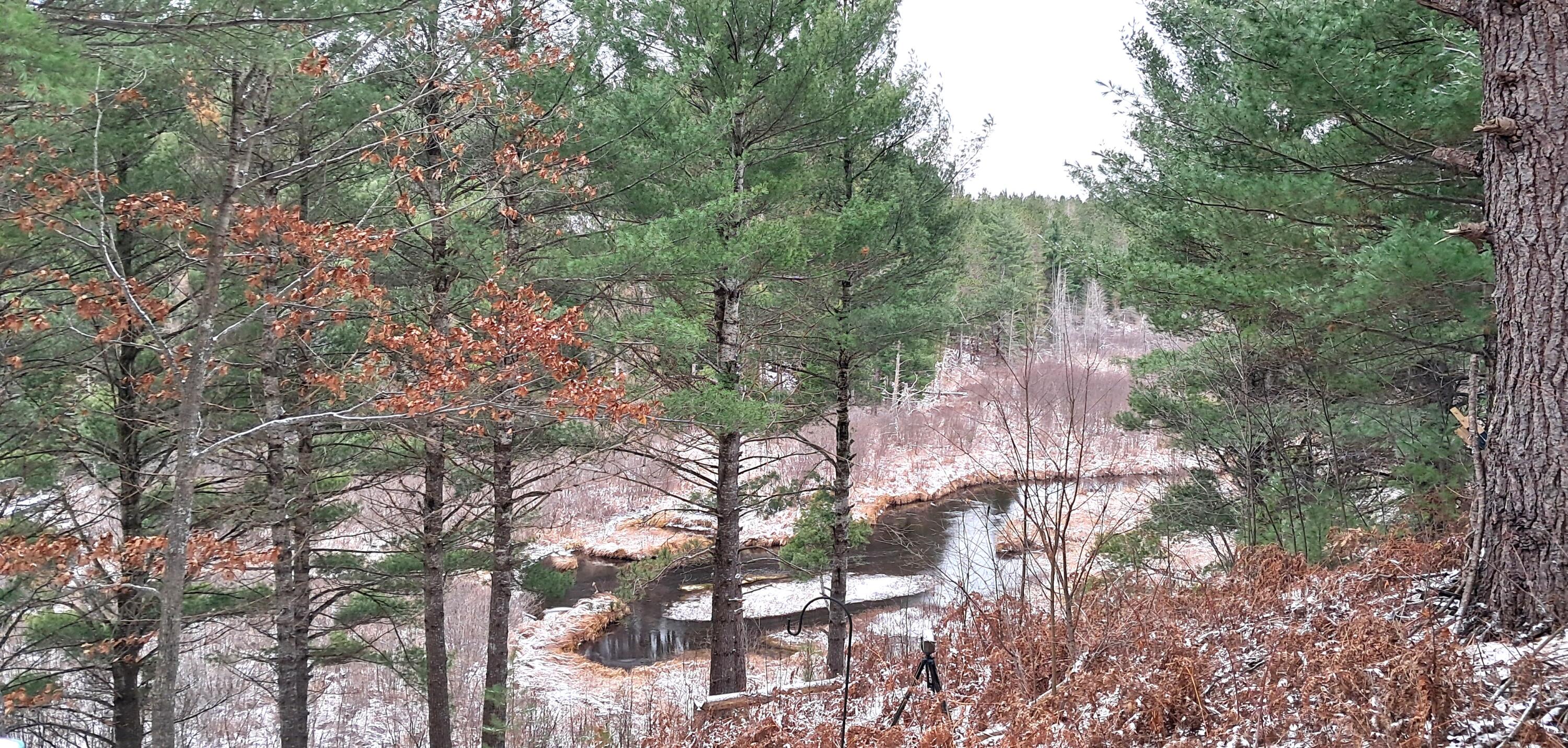15017 Riverside Trail Wolverine, MI 49799 - Photo 7 of 16 Gallery Image 7
