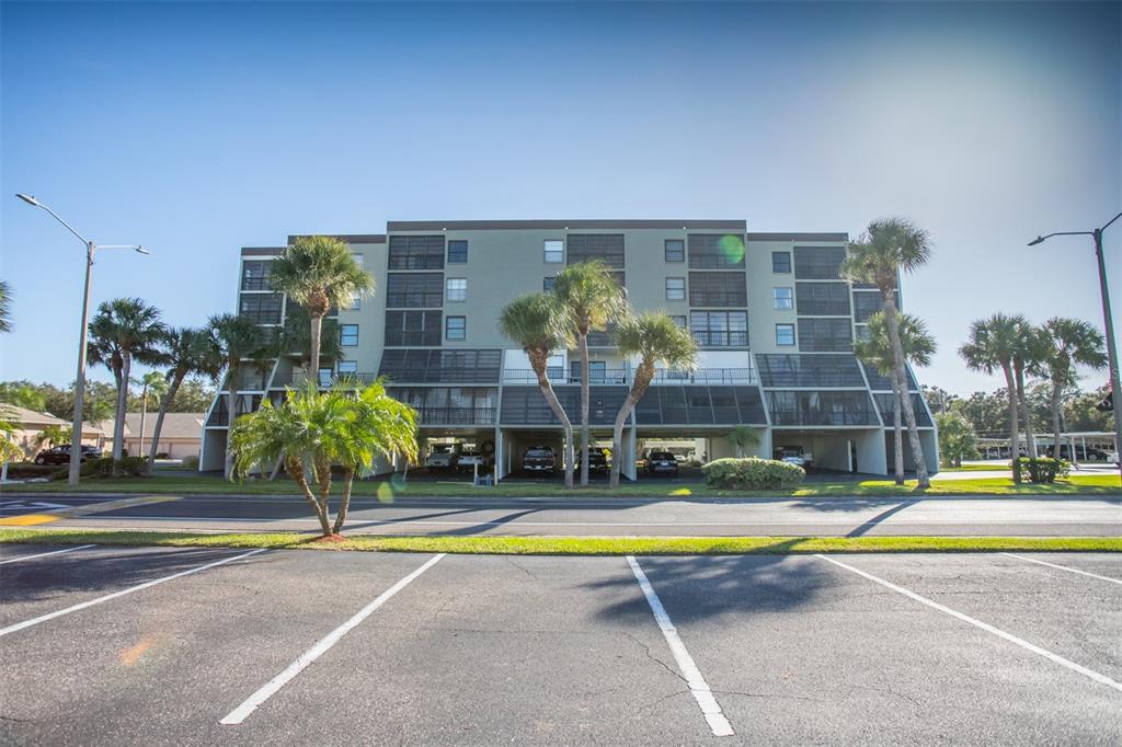a view of swimming pool with palm trees