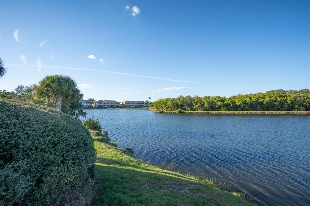 9860 62nd Avenue North, Unit 1014 St. Petersburg, FL 33708 - Photo 57 of 68 a view of a lake with a big yard