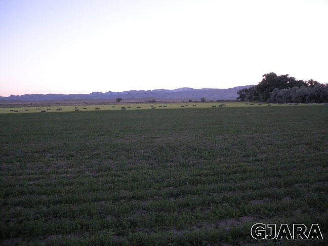1363 21 Road Fruita, CO 81521 - Photo 7 of 9 a view of a town with mountains in the background