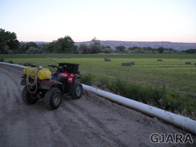 1363 21 Road Fruita, CO 81521 - Photo 8 of 9 a view of a road with an outdoor space