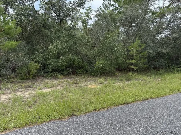 $40,000 | 4282 West Thrush Drive, Citrus Springs, FL 34433