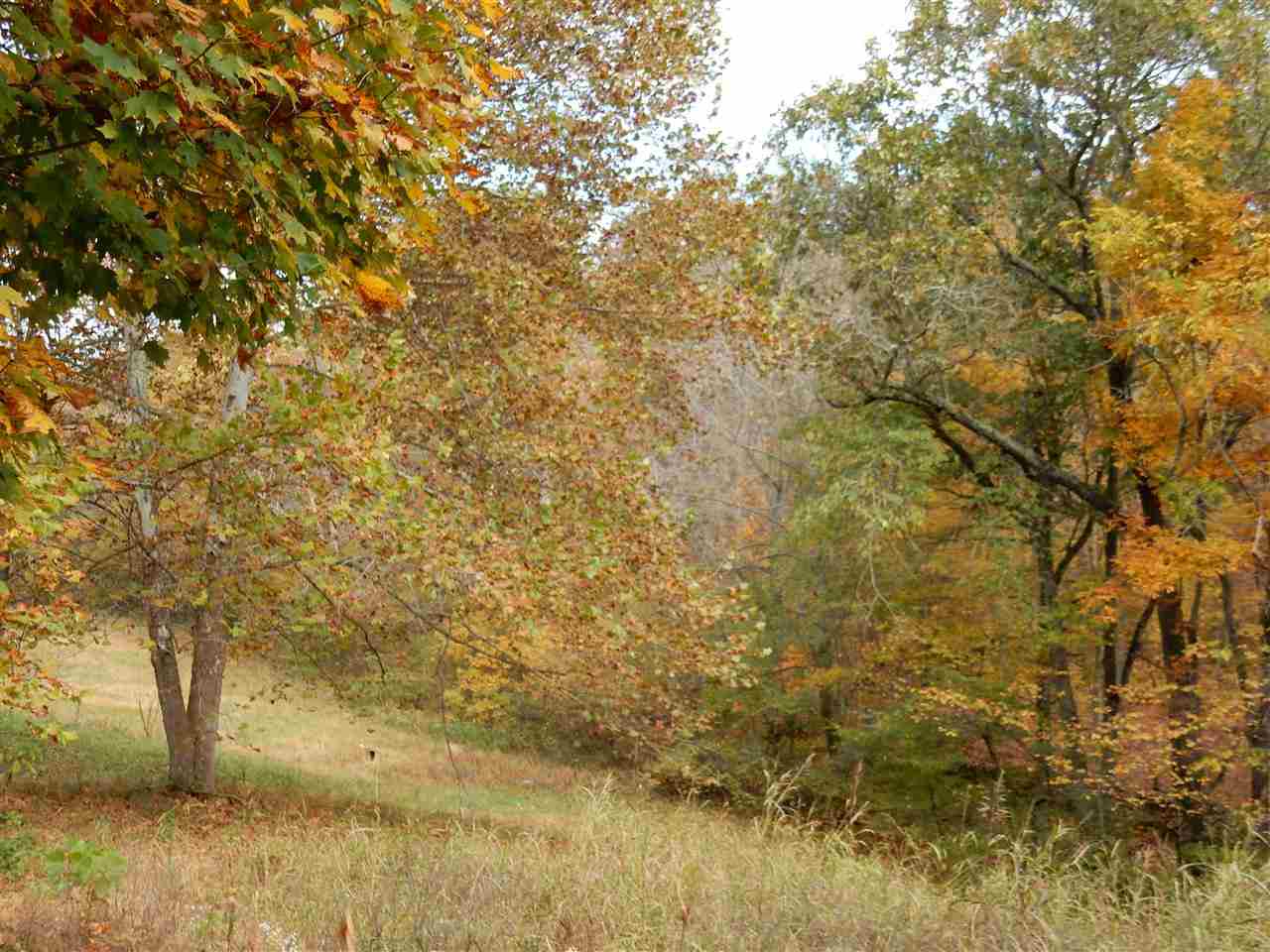 7248 Alamo Road Tell City, IN 47586 - Photo 11 of 13 Gallery Image 11