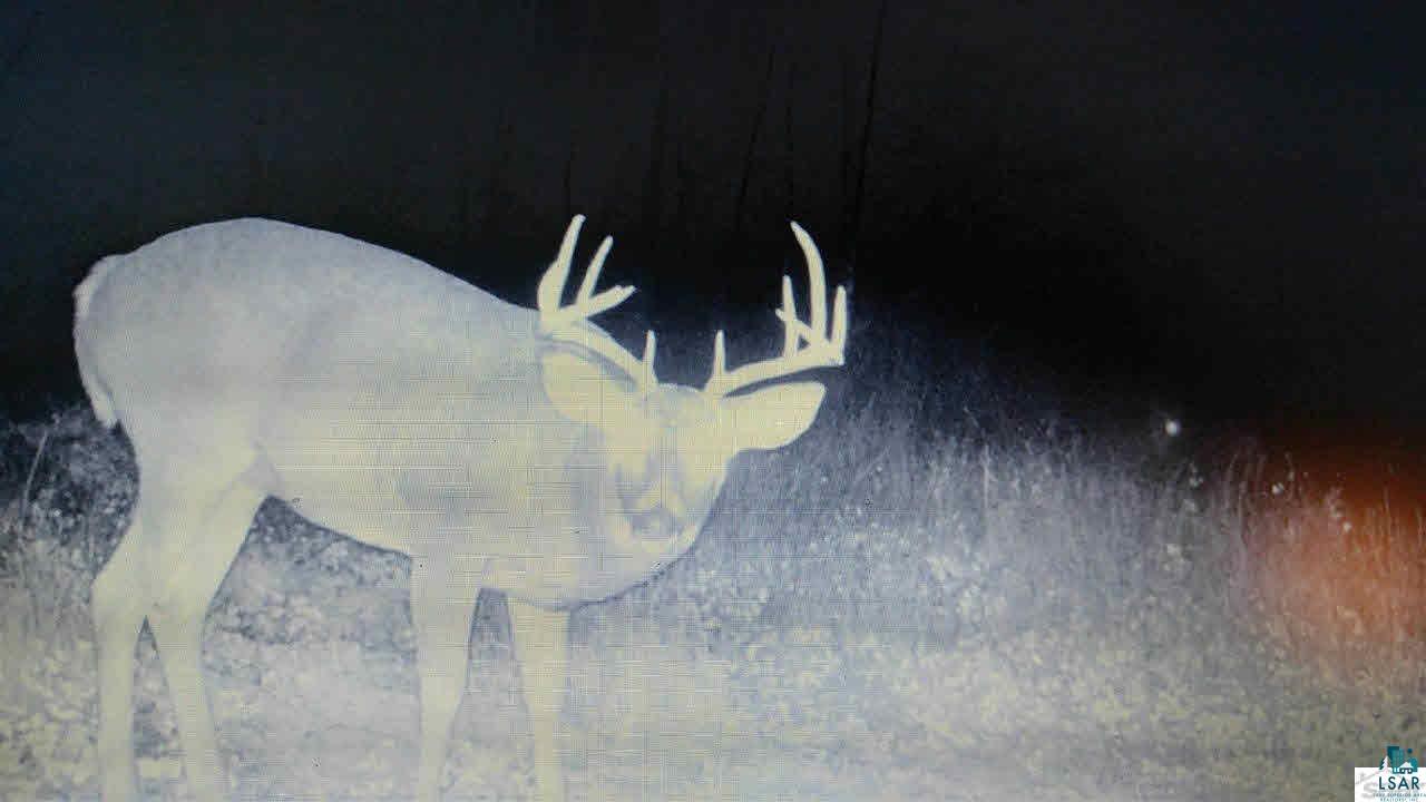 24045 Meliska Road Ashland, WI 54806 - Photo 13 of 25 2016 Trail cam on property