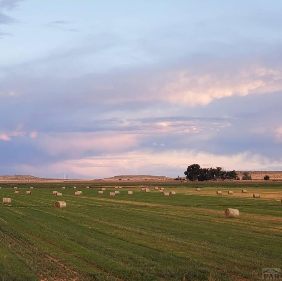 43948 Hunsaker Road Avondale, CO 81022 - Photo 49 of 56