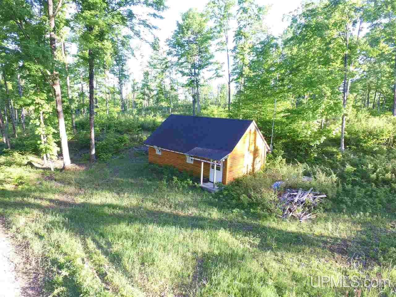 2353 Co Rd 442 Rapid River, MI 49878 - Photo 1 of 20