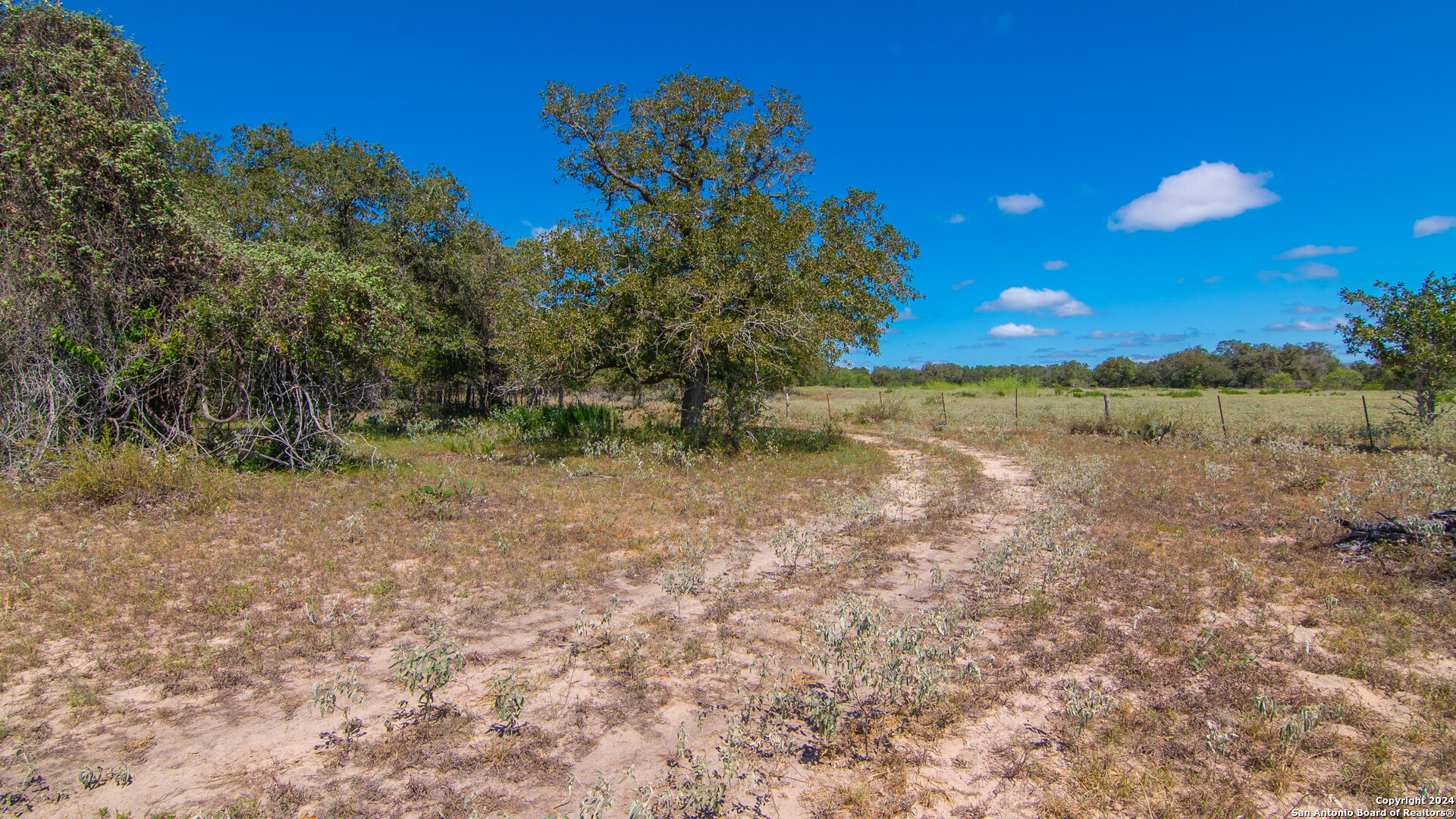Tbd County Road 434 Seguin, TX 78155 - Photo 16 of 27 a view of a yard with an trees
