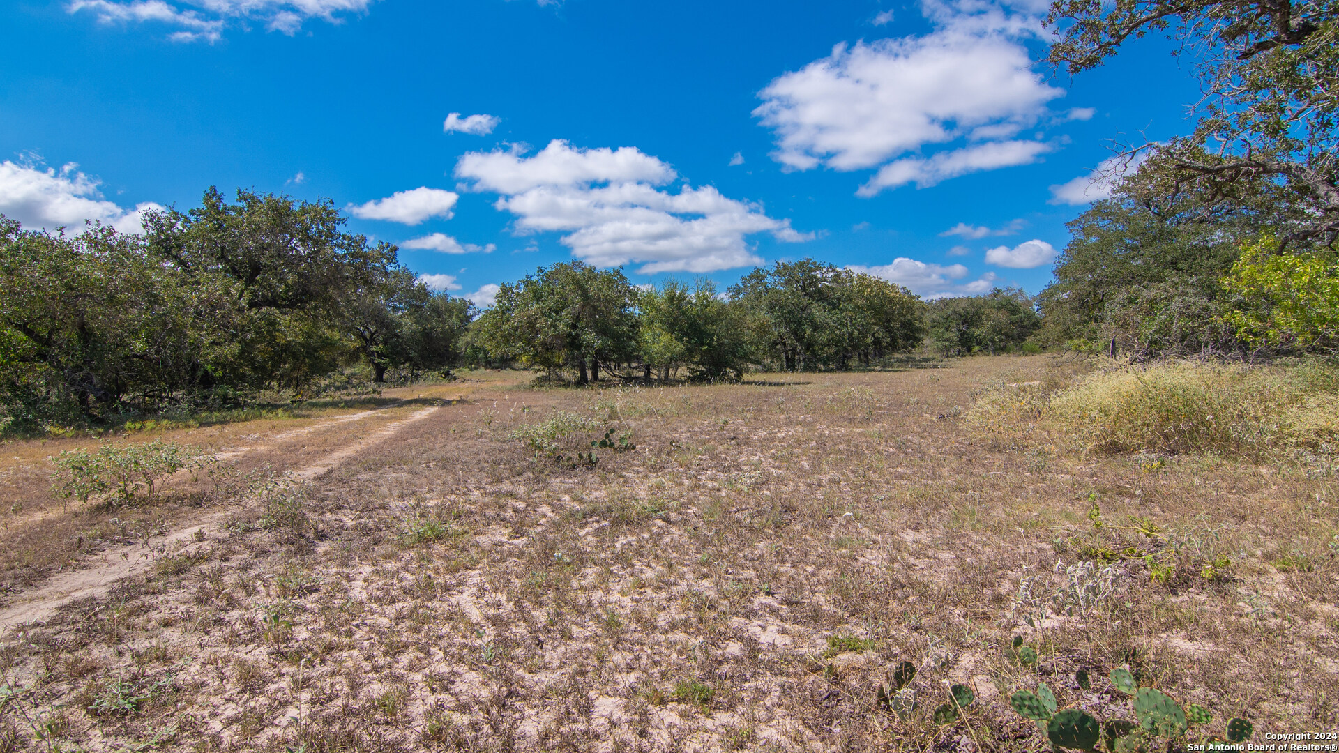 Tbd County Road 434 Seguin, TX 78155 - Photo 18 of 27 a view of a trees in a yard