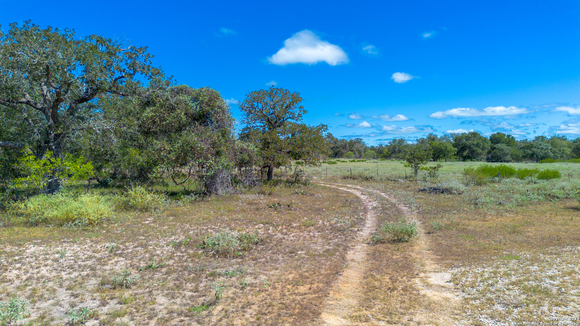 Tbd County Road 434 Seguin, TX 78155 - Photo 21 of 27 a view of a yard with a tree
