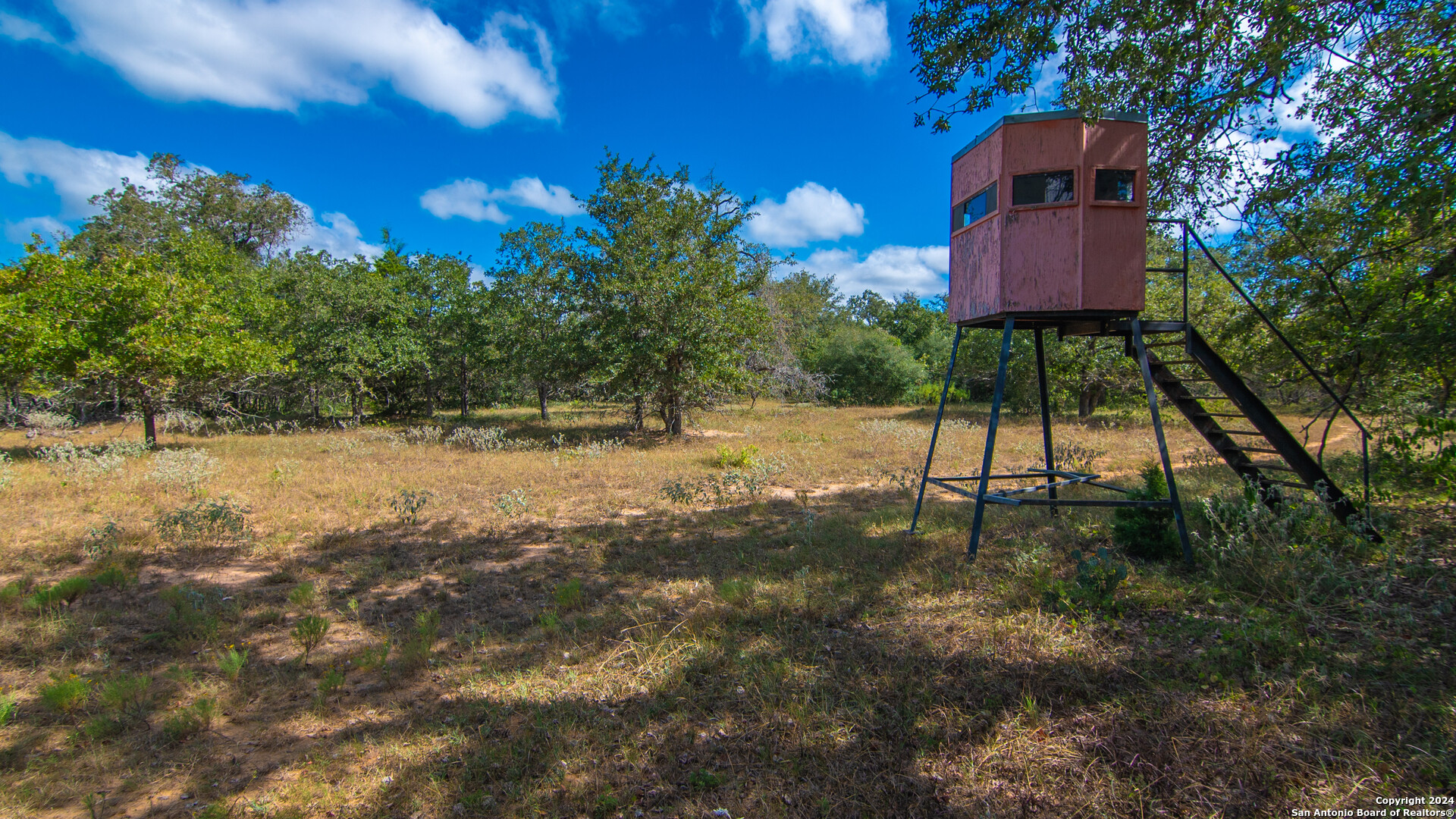 Tbd County Road 434 Seguin, TX 78155 - Photo 22 of 27 a backyard of a house with lots of green space