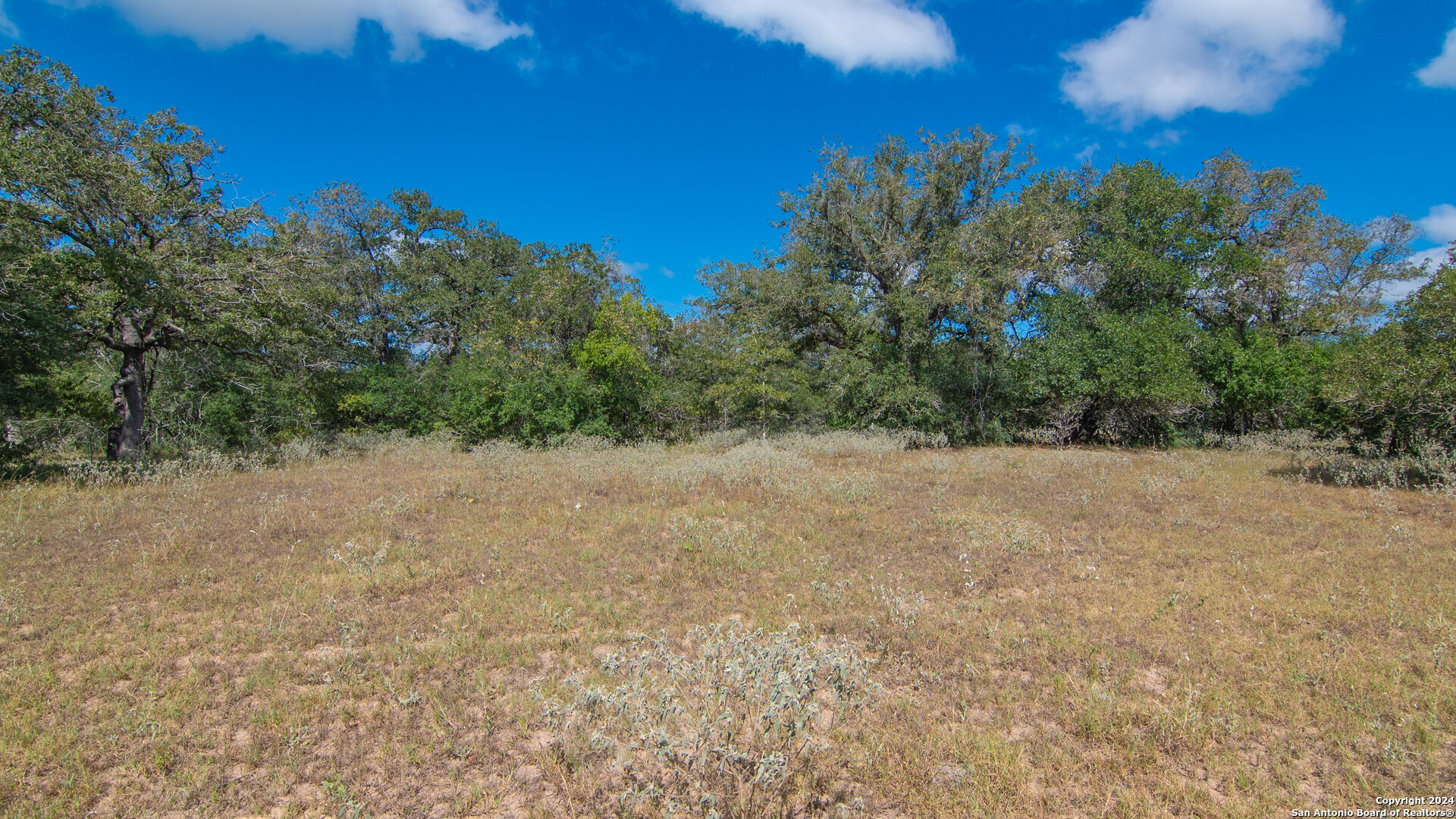 Tbd County Road 434 Seguin, TX 78155 - Photo 26 of 27 a view of a dry yard with trees in the background
