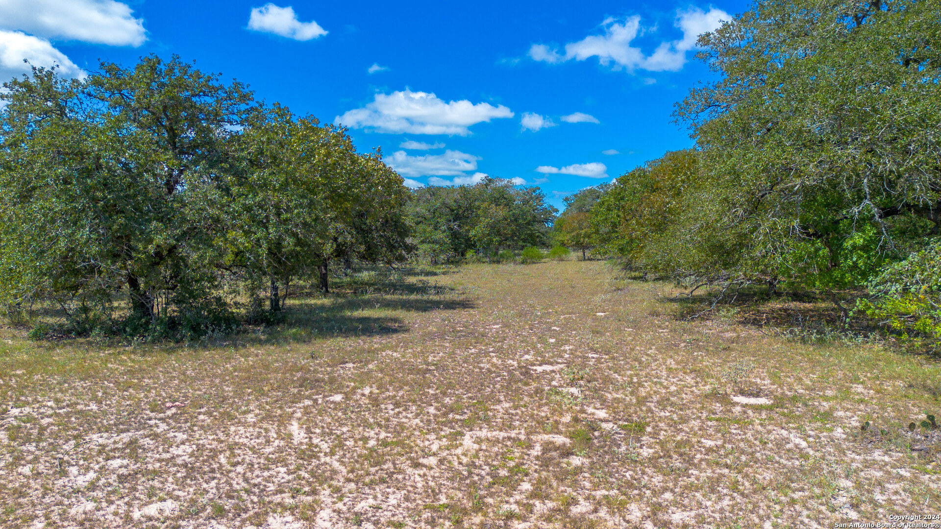Tbd County Road 434 Seguin, TX 78155 - Photo 5 of 27 a view of backyard with green space