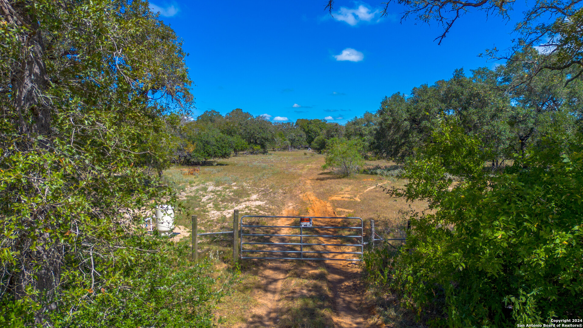 Tbd County Road 434 Seguin, TX 78155 - Photo 8 of 27 a view of a yard with a tree
