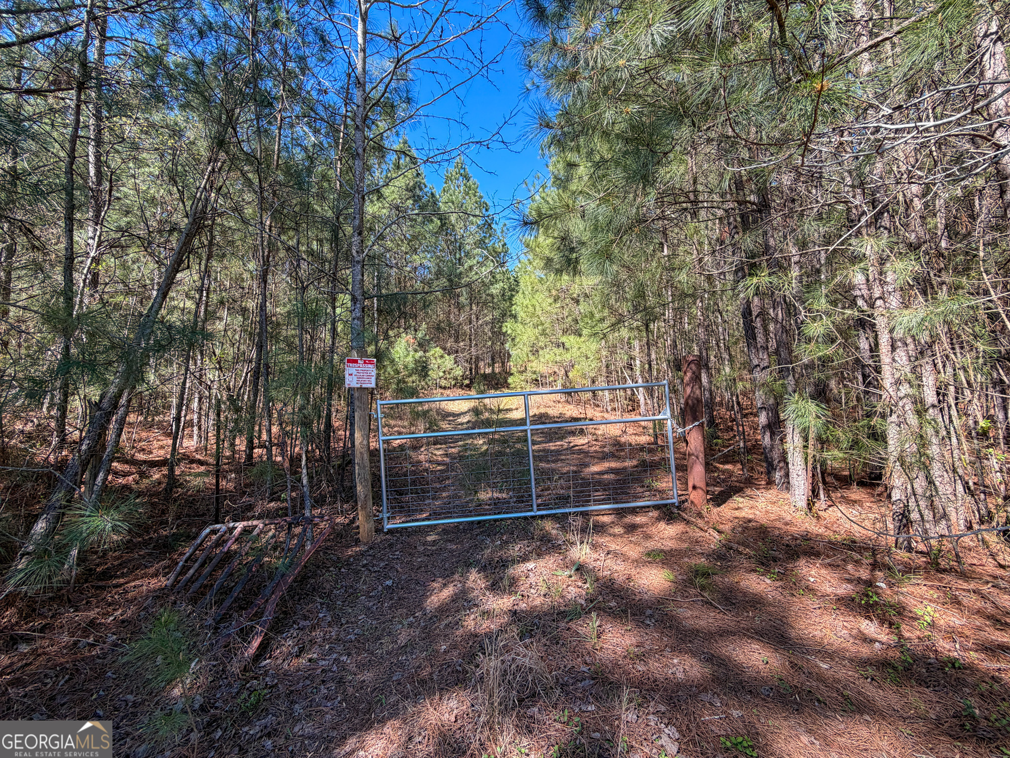257 Acres On Ridgeway Road Franklin, GA 30217 - Photo 25 of 28
