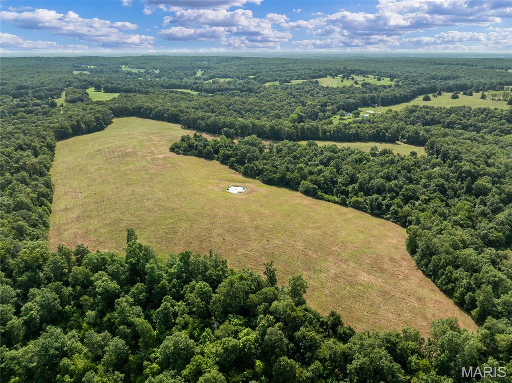 0 Long Spring Road Steelville, MO 65565 - Photo 12 of 42 Gallery Image 12