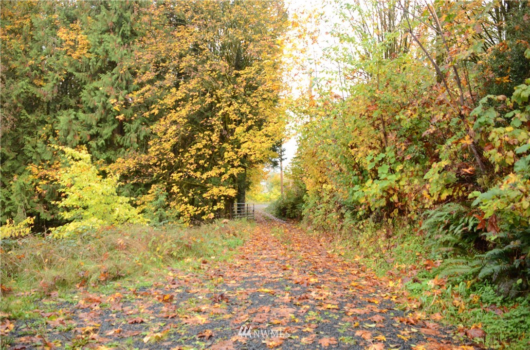 112 Lewis Road Oakville, WA 98568 - Photo 11 of 15 Gallery Image 11