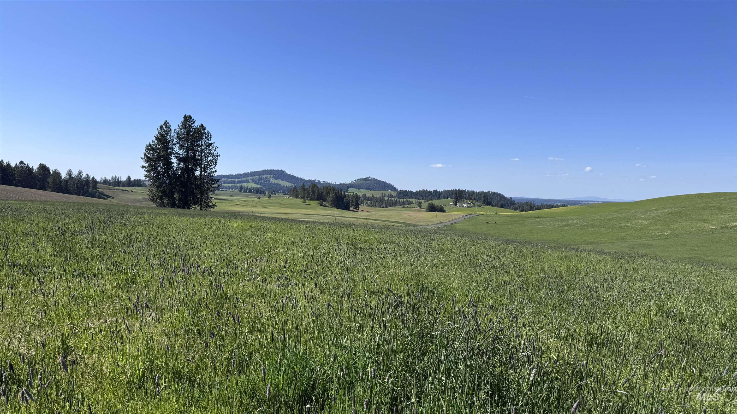 Tbd Harrisburg Road Kamiah, ID 83536 - Photo 4 of 50