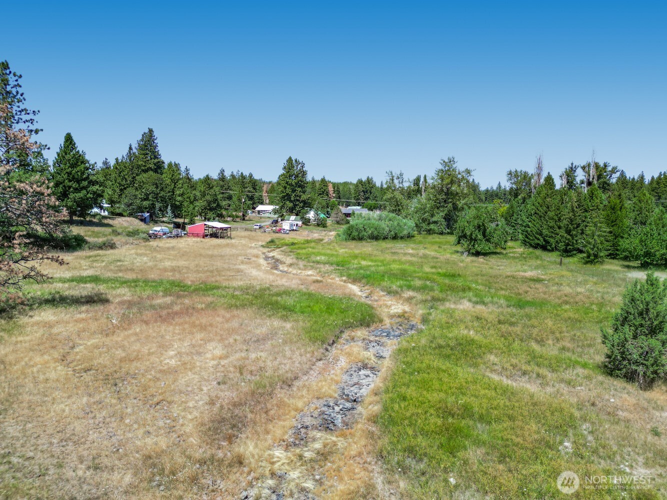 3220 Bickleton Highway Roosevelt, WA 99356 - Photo 13 of 17 a view of a yard with an trees