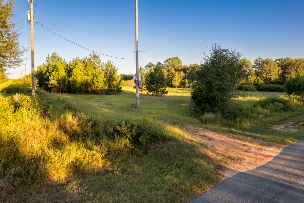 2226 Randall Wade Road Headland, AL 36345 - Photo 2 of 60