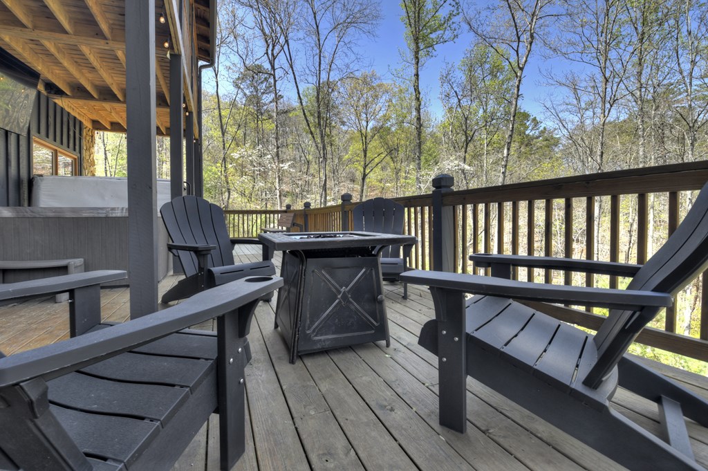 170 Humphrey Heights Road Mineral Bluff, GA 30559 - Photo 39 of 48