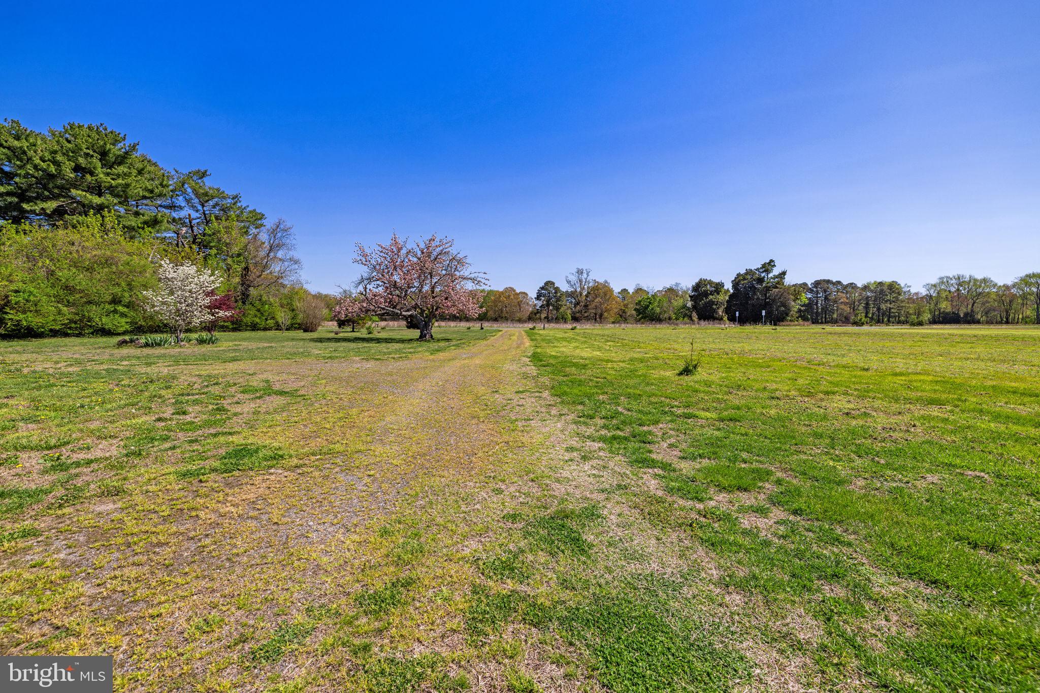 4809 Coles Point Road Hague, VA 22469 - Photo 9 of 49 Serene path through lush greenery.