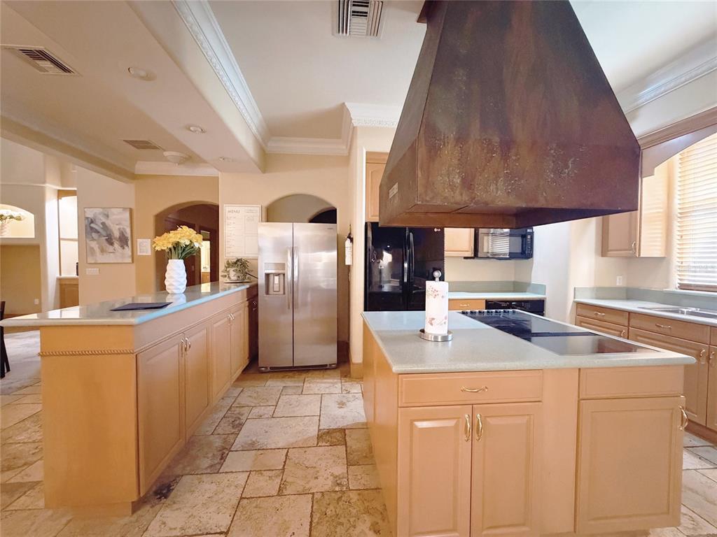 4421 Reaves Road Kissimmee, FL 34746 - Photo 41 of 100 a kitchen with stainless steel appliances granite countertop a sink a stove and a refrigerator