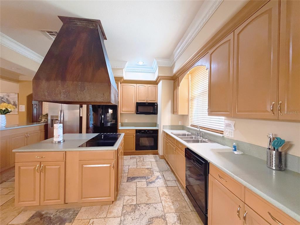 4421 Reaves Road Kissimmee, FL 34746 - Photo 44 of 100 a kitchen with stainless steel appliances kitchen island granite countertop a sink dishwasher stove and cabinets
