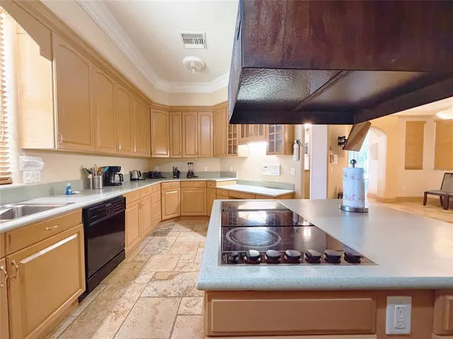a front view of a house with a yard and potted plants