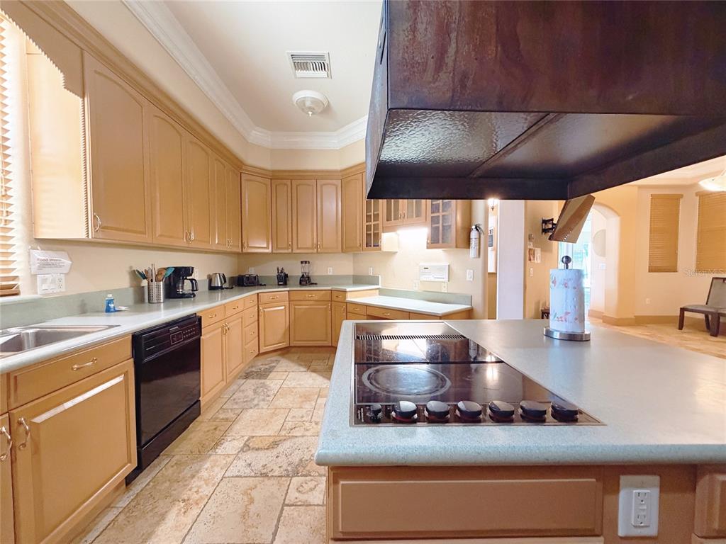 4421 Reaves Road Kissimmee, FL 34746 - Photo 45 of 100