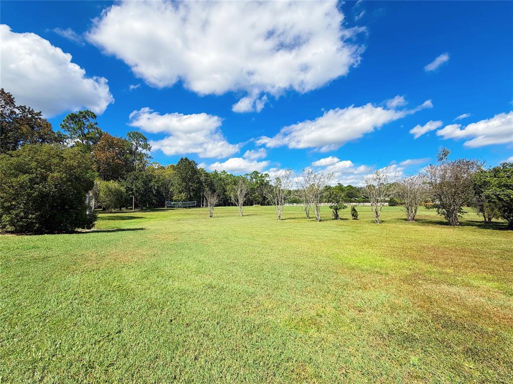 4421 Reaves Road Kissimmee, FL 34746 - Photo 85 of 100