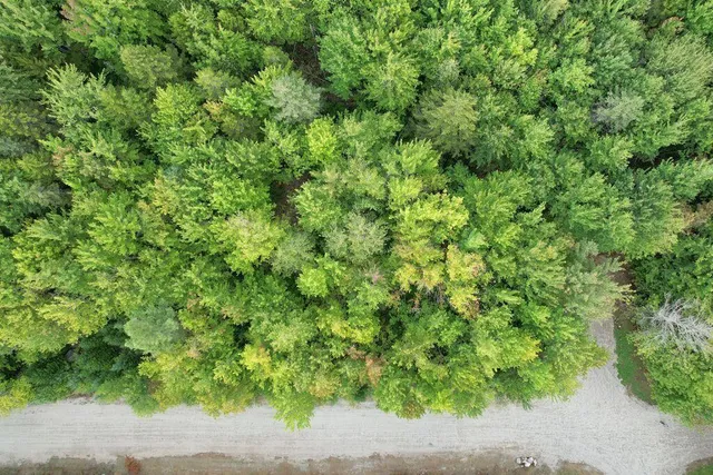 $48,000 | Lot 5 Foggy Ridge Way, Ellsworth, ME 04605