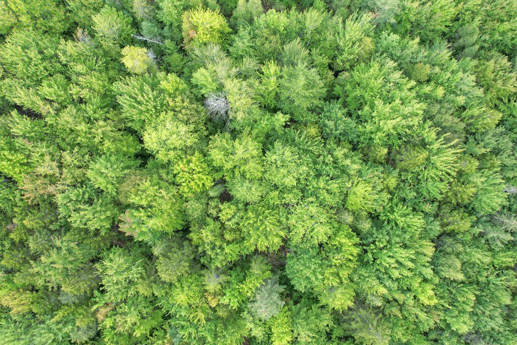 Lot 5 Foggy Ridge Way Ellsworth, ME 04605 - Photo 13 of 14 6qhYICAg