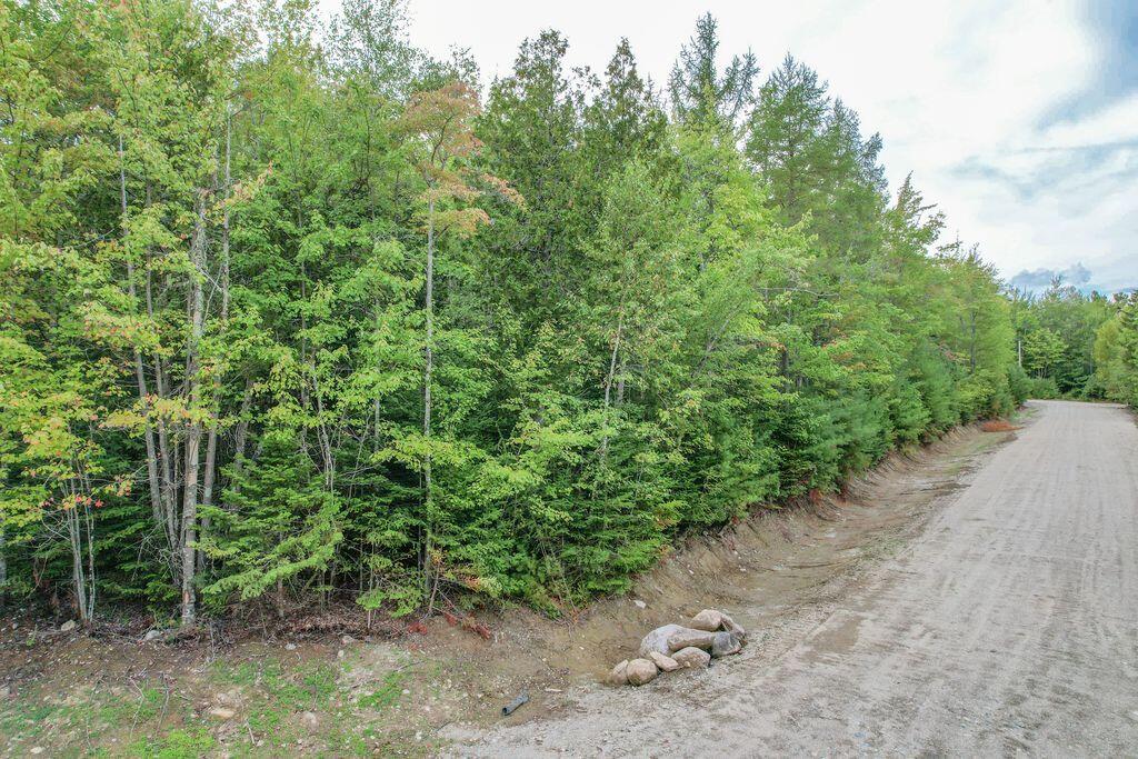 Lot 5 Foggy Ridge Way Ellsworth, ME 04605 - Photo 5 of 14 btwI5Szg