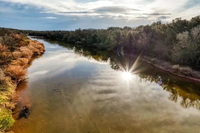a view of river covered by trees