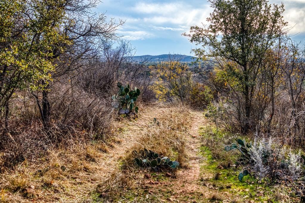 Tbd Reeves Road Graham, TX 76450 - Photo 11 of 40 a view of a yard with a tree