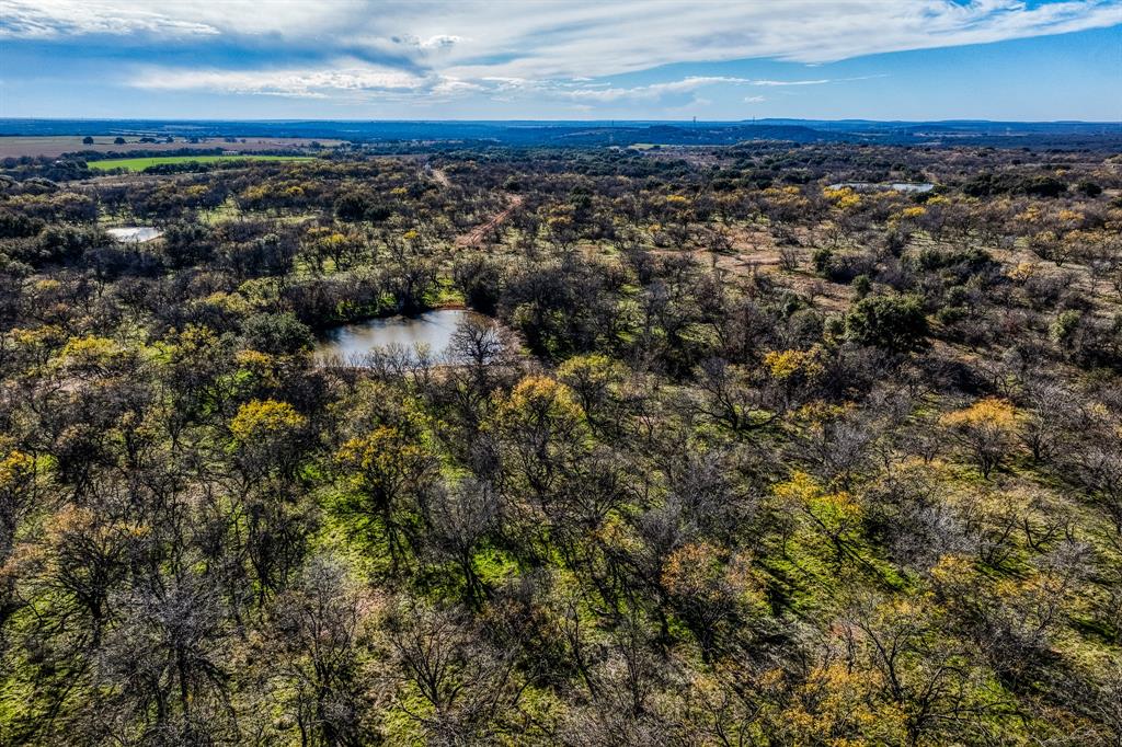 Tbd Reeves Road Graham, TX 76450 - Photo 16 of 40